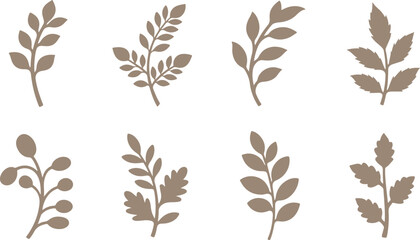 Poster - Collection of eight different brown botanical branch silhouettes with leaves and berries isolated on transparent background