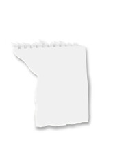 Poster - Close up of a blank white sheet of torn notebook paper, creating a textured and minimalist backdrop against a clean white background, perfect for displaying messages or designs