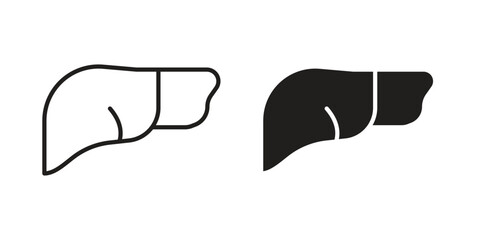 Fototapete - Liver icon. Stroke and Glyph pictogram. Vector illustration on white background
