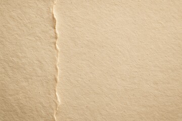Poster - Textured surface of torn recycled paper forms a prominent vertical division, showcasing the natural fibers and creating a vintage aesthetic with its warm, earthy tones