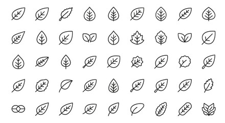 Poster - Set of Vector Icons Collection of Diverse Line Art Leaf Icons Simple Detailed and Varied Shapes. Vector Illustrations. EPS Editable