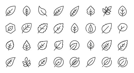 Poster - Set of Vector Icons Collection of Minimalist Black Line Art Leaf Icons Various Shapes and Styles. Vector Illustrations. EPS Editable