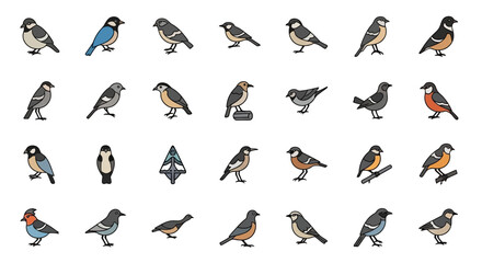Poster - Set of Vector Icons Collection of Various Colorful Bird Illustrations with Black Outlines and Details. Vector Illustrations. EPS Editable