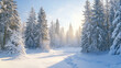 © piggu - scenic winter pine forest covered in pristine white snow with sun light