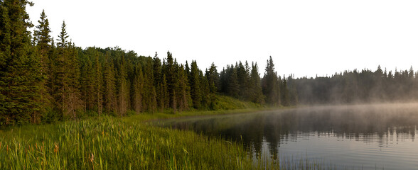 Wall Mural - Early morning at a misty lake with a green forest and a transparent sky
