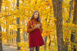 © Volodymyr - Autumn woman in golden sunlight. Romantic portrait of stylish girl with leaves. Beautiful woman face in autumn park. Autumn model by falling foliage. Young woman walking through yellow leaves.
