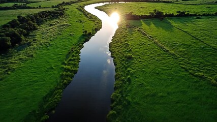Wall Mural - aerial view of a serene river winding through lush green vegetation. sunlight glistens on the water'