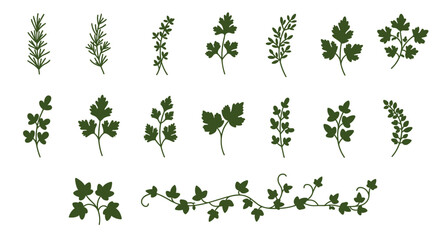 Poster - Herb silhouette collection: parsley, rosemary, and thyme leaves