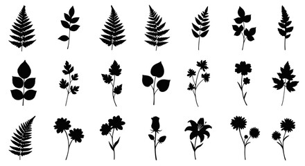 Poster - Botanical silhouettes set: diverse ferns and flowers in minimalist style