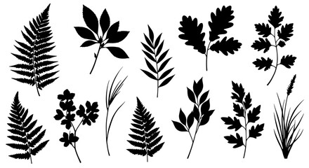 Poster - Silhouette botanical leaves collection: elegant black plant illustrations for design