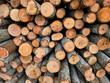 © Tri Visuals - Close-up view of neatly arranged tree logs showing cut ends and wooden texture used for firewood, lumber, or carpentry, Abstract Background