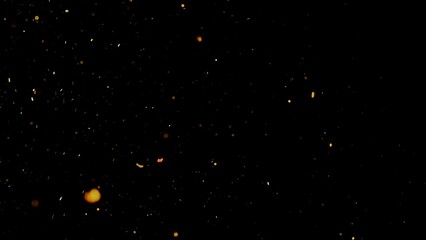 Poster - Floating golden dust particles in dark background