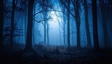 Dark misty forest at night with trees silhouetted against a bright blue moonlit sky