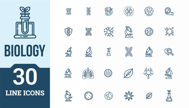 30 BIOLOGY ICON SET