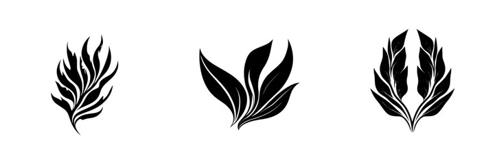 Poster - Artistic black icon collection featuring elegant leaf designs that symbolize nature's beauty and creativity