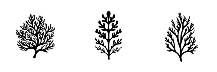 Poster - Intricate black icon designs of various tree-like forms on a plain background showcasing organic shapes and patterns