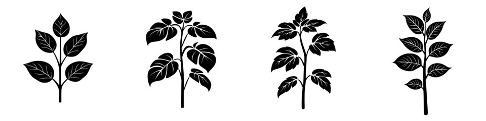 Poster - Set of black icons depicting various plant silhouettes showcasing leaf structures and arrangements for design use