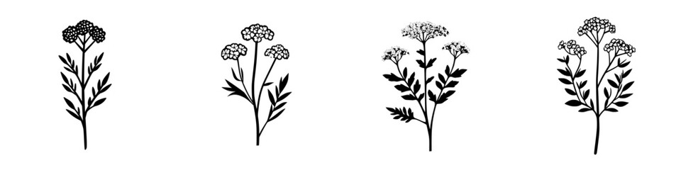 Poster - Floral icon collection featuring varying designs of black silhouette flowers on a white background