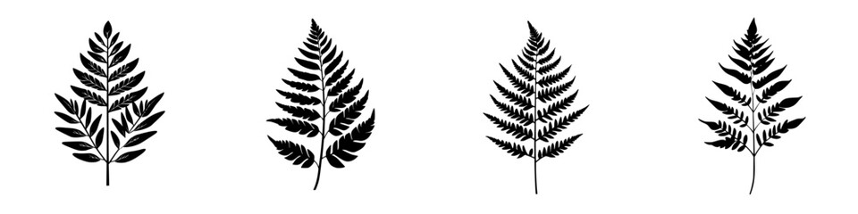 Poster - Different varieties of black fern silhouettes displayed in a unique arrangement for botanical design