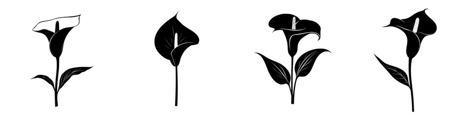 Poster - Unique black icons of calla lily flowers showcasing different angles and stages of bloom in a minimalist style