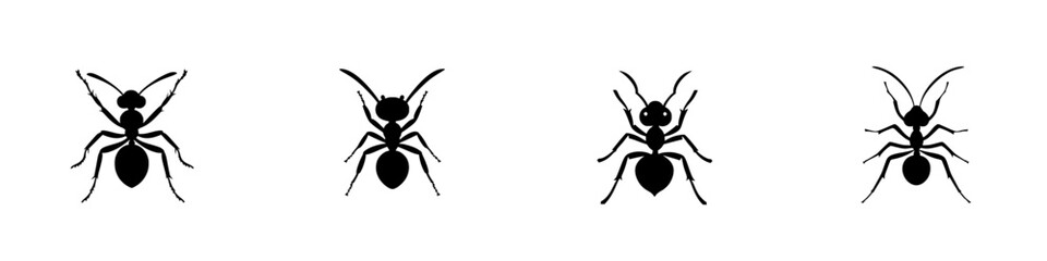 Poster - Collection of four black ant icons showcasing different angles and poses of the insect designed for graphic use