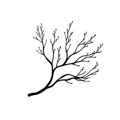 Poster - Intricate black icon depicting a branch with delicate twigs and leaves for nature-themed designs and projects