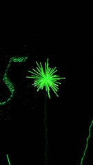 Poster - Green fireworks animation with 2025 text on black background