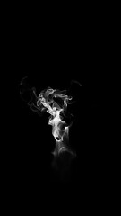 Wall Mural - smoke wisps fluid flow on black background