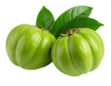 Two fresh, green Garcinia cambogia fruits with glossy leaves attached, showcasing their round, ribbed shape and smooth surface.