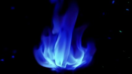 Wall Mural - Blue flame seamless looping video with glowing light on black background.
