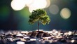 © Sunshine - A tree sprouting from coins, representing the concept of financial growth and eco-friendly investment.