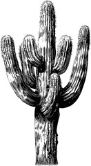 Wall Mural - black and white illustration of saguaro cactus with detailed texture sketch