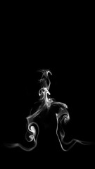 Wall Mural - smoke wisps fluid flow loop on black background