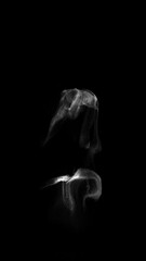 Wall Mural - smoke wisps fluid flow loop on black background