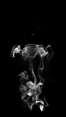 Wall Mural - smoke wisps fluid flow loop on black background