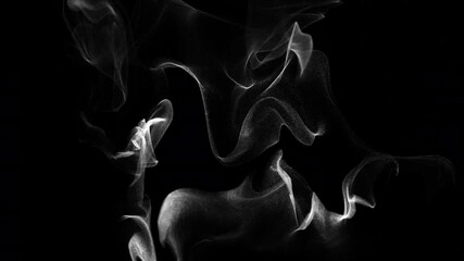 Wall Mural - smoke wisps fluid flow loop on black background