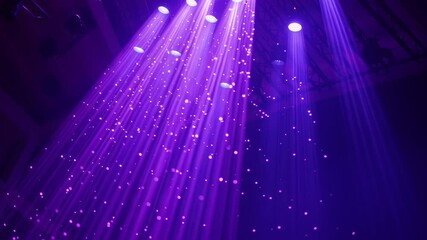 Poster - A purple light is shining on a purple background, creating a vibrant and energetic atmosphere. The light is positioned at an angle, casting a spotlight on the purple background