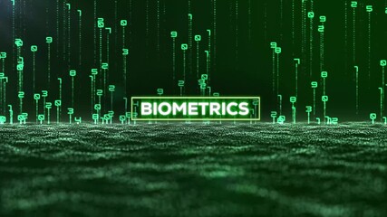 Matrix Binary Code and Biometrics Word