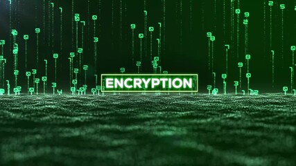 Matrix Binary Code and Encryption Word