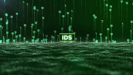 Matrix Binary Code and Intrusion Detection System Word