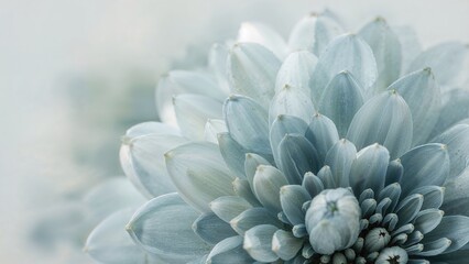 Fototapete - Close-up view of an abstract flower background