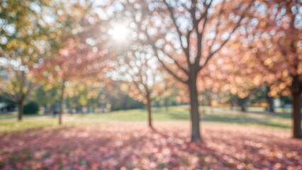 Poster - Soft focus abstract background with park lights