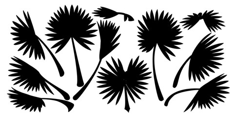 vector black palm leaves set. Clip art isolated on transparent background.