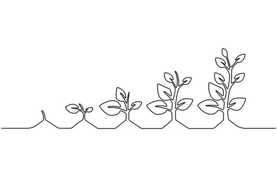 Continuous one line drawing of step of grow plant. Vector illustration,  Sprout with leaves in simple linear style isolated one line vector illustration.