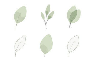 Poster - Six delicate green leaves arranged in various positions on a white background showcasing botanical beauty and simplicity