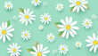 © 365 days studio - A lovely pattern of white daisy and chamomile flowers on a soft mint green background. The 3D paper effect with subtle shadows creates a fresh, romantic wallpaper for spring or summer themes.