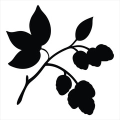 Poster - A stylized black silhouette of a boysenberry plant branch with leaves and boysenberries isolated on a white background, perfect for graphic design and decorative elements. silhouette