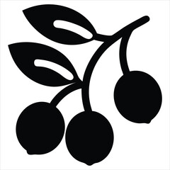 Poster - A simple black silhouette of a branch with three round longans and three oval leaves on a white background representing nature and organic elements silhouette