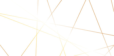 Poster - luxury modern technology concept diagonal line .Abstract geometric random chaotic lines background. luxury modern technology concept diagonal line. geometric pattern square and triangle line shape.