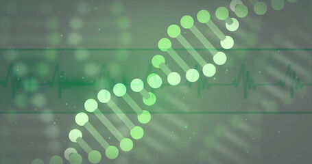 Poster - Slanting green DNA double helix graphic across abstract medical background, with ECG waveform lines